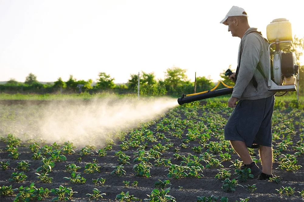 Selectarea acaricidului ideal: factorii cheie pentru o protecție optimă a plantelor