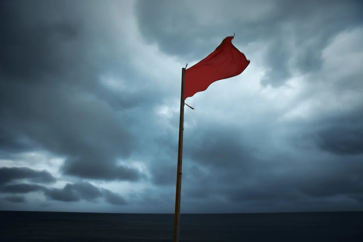 Sindicatul piloților contestă inițiativa Rainmaker de a altera condițiile meteorologice prin utilizarea dronelor