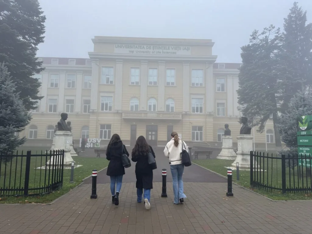 Cele mai exigente sisteme educaționale din lume: Presiunea școlară atinge apogeul