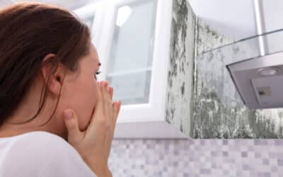 De ce reapare mucegaiul chiar și în casele renovate recent?