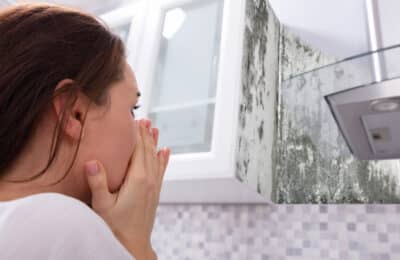 De ce reapare mucegaiul chiar și în casele renovate recent?