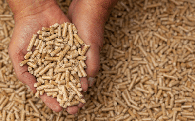 Centrala pe peleți: investiție inteligentă pentru următorii 10–15 ani?