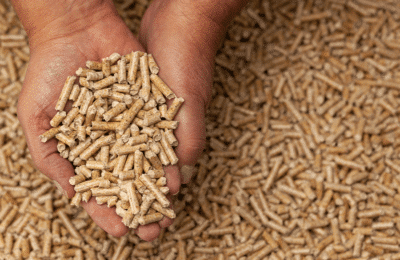 Centrala pe peleți: investiție inteligentă pentru următorii 10–15 ani?