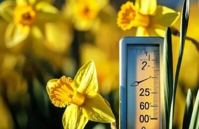Prognoză meteo: Temperaturi mai ridicate și puține ploi până la final de martie