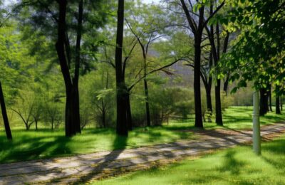 Parcul Tineretului: Reabilitare de 5,8 milioane lei