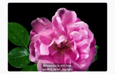 Accident grav cu 4 mașini în San Jose: Un mort și mai mulți răniți