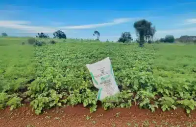 Blocajul din Iran taie 30% din comerțul global cu fertilizatori