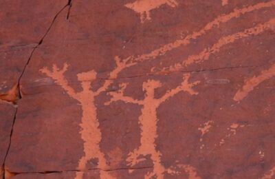 Neanderthalienii foloseau antibiotic acum 180.000 de ani