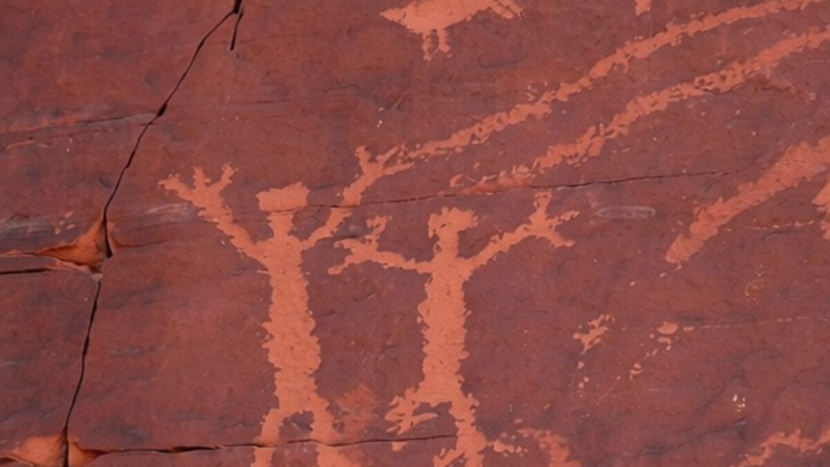 gudron de mesteacăn