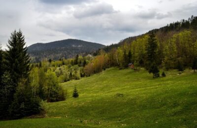 Romu00e2nii pot primi 13.000 de euro pentru a se muta u00een Serbia