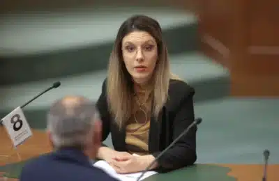 Diana Buzoianu vrea reducerea avizelor de mediu și strategie energetică