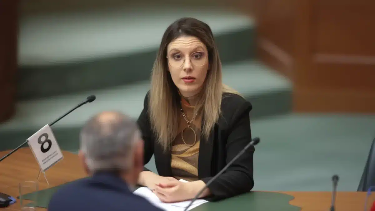 strategie energetică