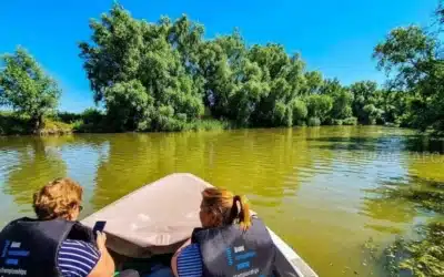 Delta Dunării, alternativă la Mamaia de 1 Mai: Costuri și experiențe