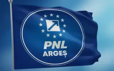 PNL Argeș cere revocarea vicepreședintelui CJ, trimis în judecată