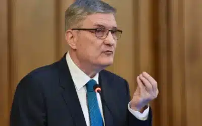 Dăianu (Consiliul Fiscal): Cota unică are argumente ridicole