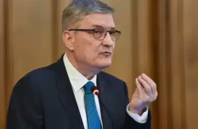 Dăianu (Consiliul Fiscal): Cota unică are argumente ridicole