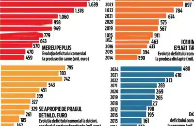 Deficit comercial record: 33,3 mld. euro. Salvarea, brandurile locale?