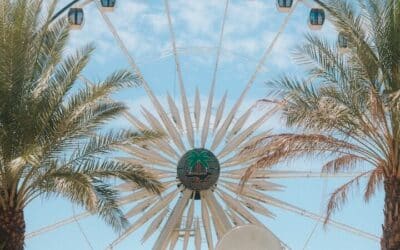 Stagecoach: Evacuare masivă din cauza vântului, apoi redeschidere