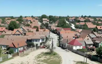 DN Agrar Group investește 3,5 milioane euro într-o fabrică de lapte