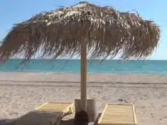 Litoralul, luat cu asalt de 45.000 de turiști. Cât costă Vama de 1 Mai