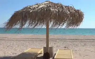 Litoralul, luat cu asalt de 45.000 de turiști. Cât costă Vama de 1 Mai