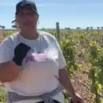 Româncă oferă 12,50 euro/oră în Spania pentru muncă la vie