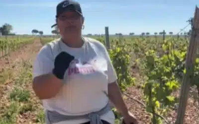 Româncă oferă 12,50 euro/oră în Spania pentru muncă la vie