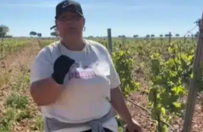 Româncă oferă 12,50 euro/oră în Spania pentru muncă la vie