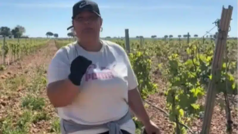 Româncă oferă 12,50 euro/oră în Spania pentru muncă la vie