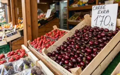 Cireșe, lux în România: 170 de lei kilogramul în piețe