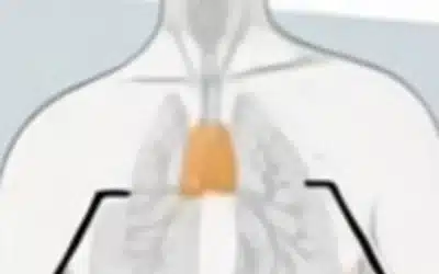 Timusul, organul care reduce cu 50% riscul de deces