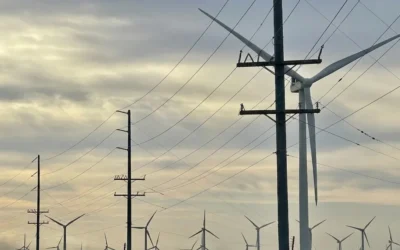 Decizia care blocheaza energia pentru 15 milioane de oameni. Trump opreste 165 de proiecte eoliene