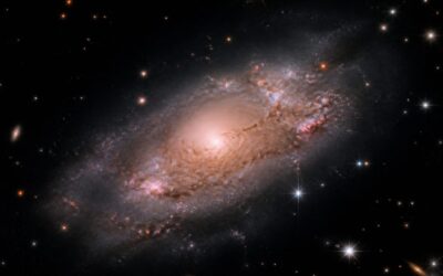 James Webb a identificat o galaxie matură de 28 de miliarde de mase solare la 1,2 miliarde de ani după Big Bang