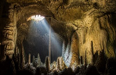 Peștera Sơn Đoòng din Vietnam adăpostește o pădure tropicală și un râu subteran