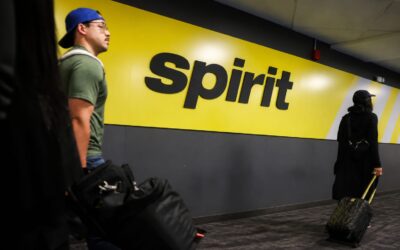 Google primește o recomandare favorabilă pentru cumpărarea datelor Spirit Airlines destinate antrenării AI